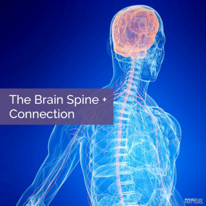 Week 3 - The Brain - Spine Connection