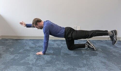 Bird-Dog-stretch