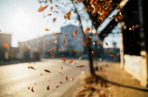 best chiropractor ann arbor