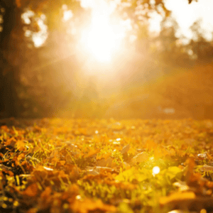 Prepare for Cooler Weather
