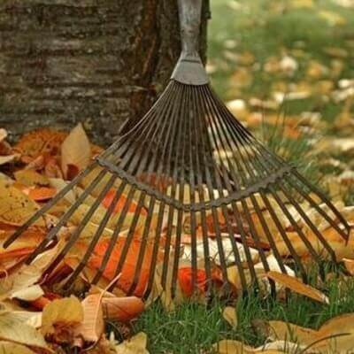 raking leaves in autumn