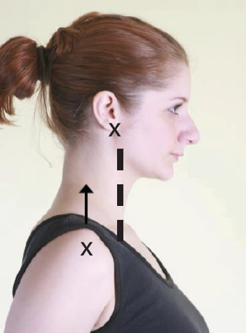 postural analysis adult