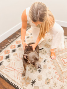 Dog being adjusted