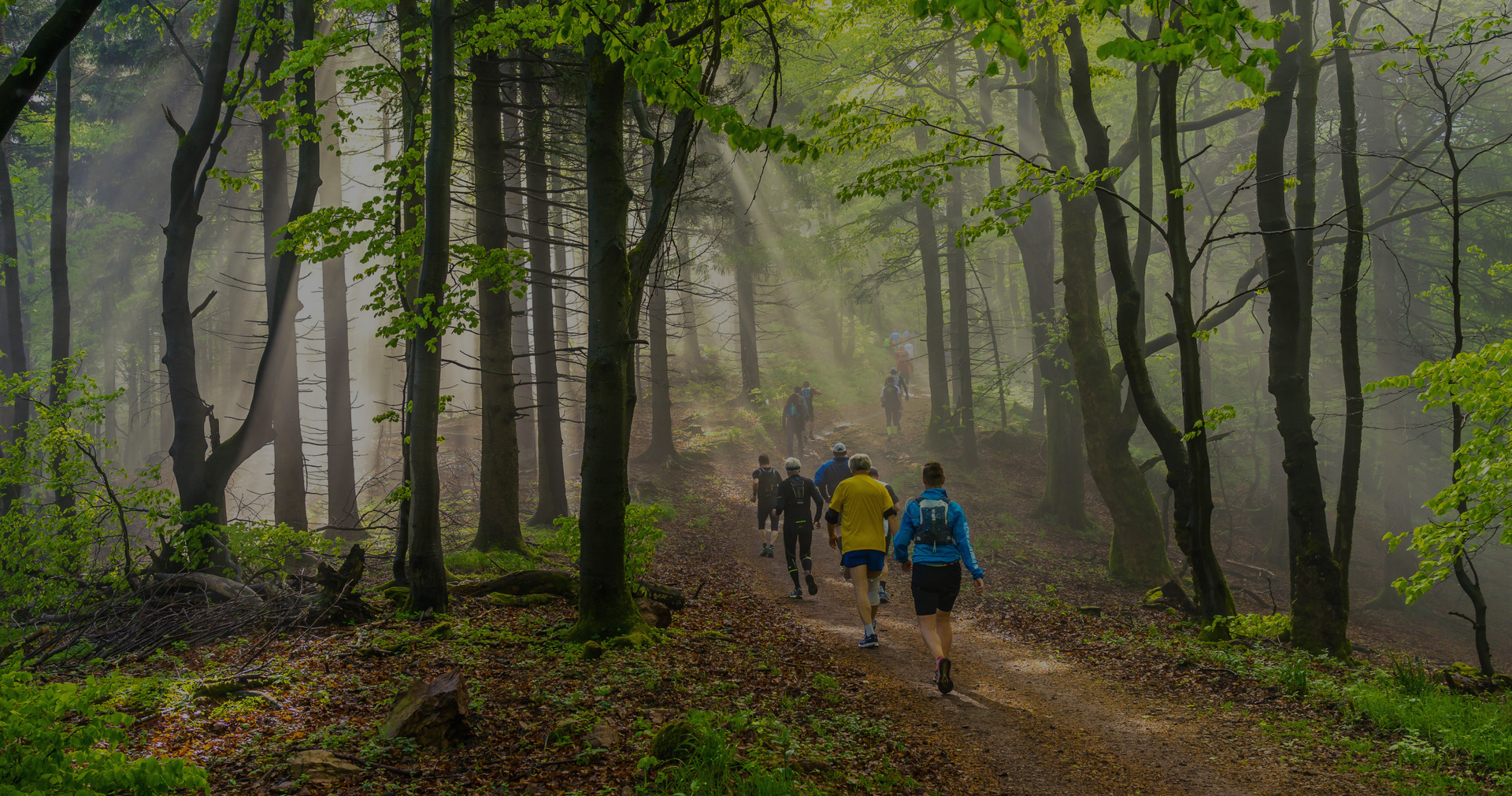 photo of people hiking in a forest