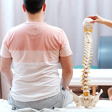 man sitting with a spine model next to his back