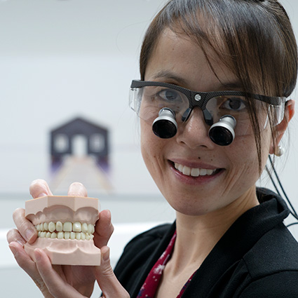 dentist holding teeth model
