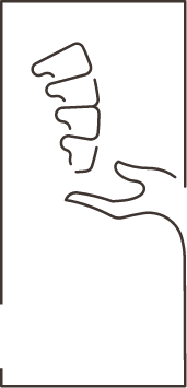 spine illustration