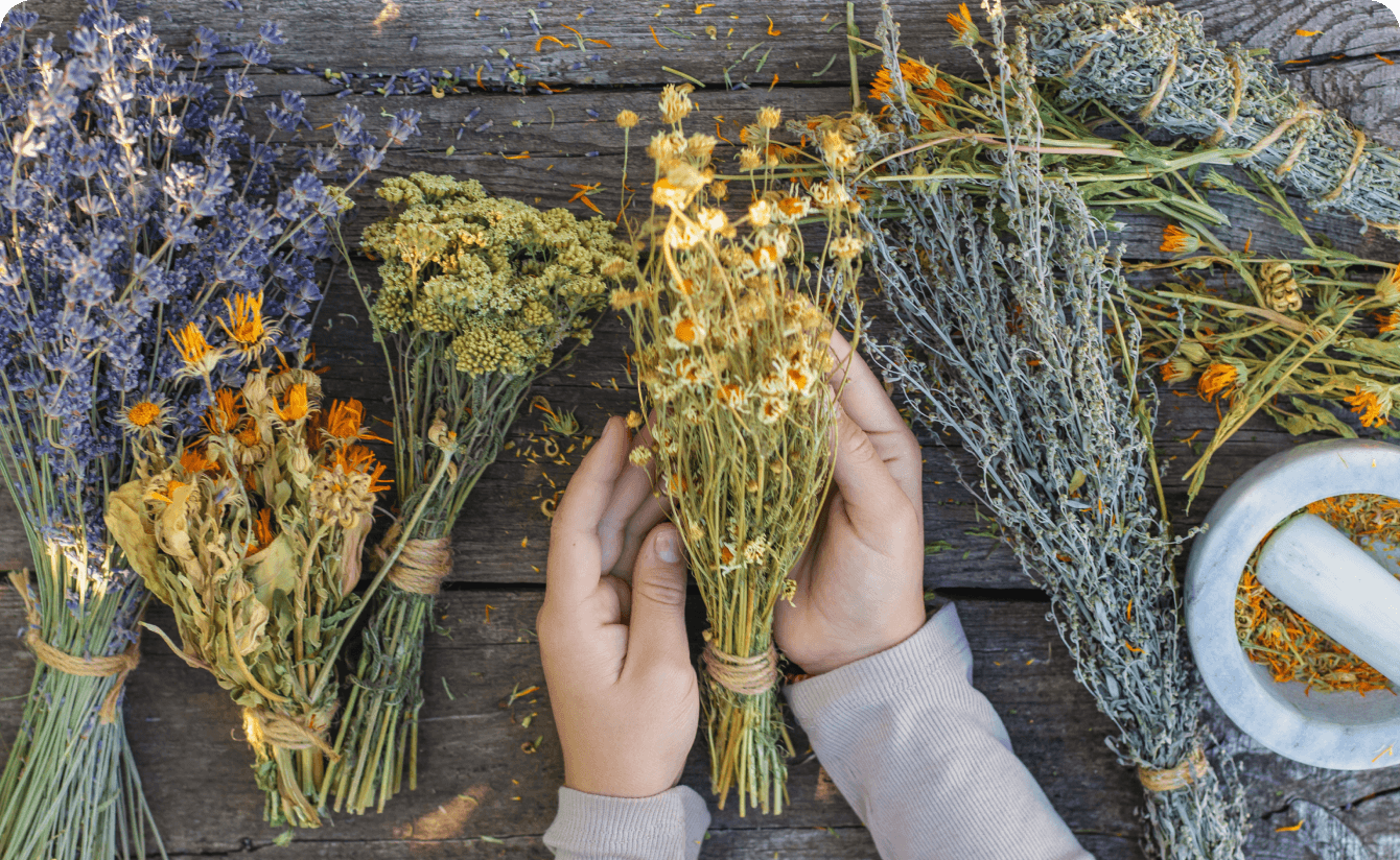 an array of herbs on a tabletop