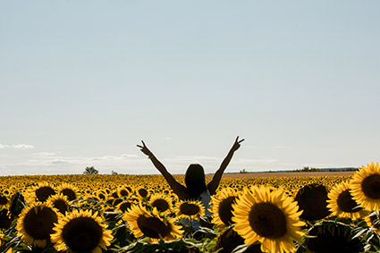 Dr. Ali in sunflowers