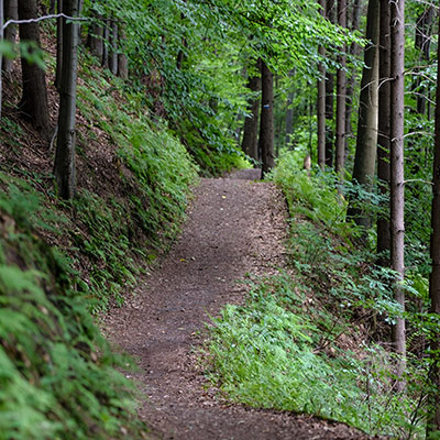 photo of a hiking trail