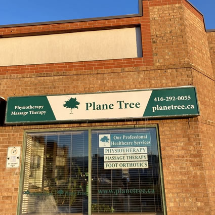 Plane Tree Physiotherapy & Wellness Clinic exterior