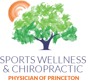 Sports Wellness & Chiropractic Physician of Princeton logo - Home