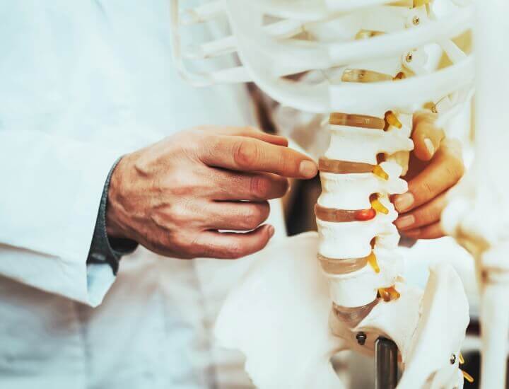 Chiropractor pointing to spine model