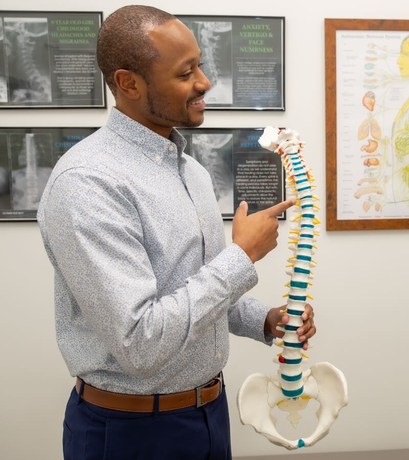 Dr. Tate pointing to a model of a spine