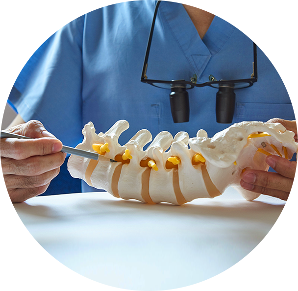 Why Your Spine Goes Out of Alignment? • Collins Chiropractic Health &  Wellness Centre