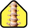 spine icon