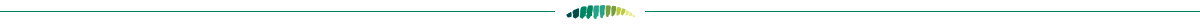 divider