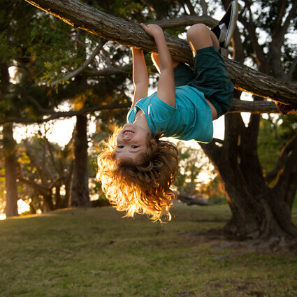 hanging-from-tree-sq