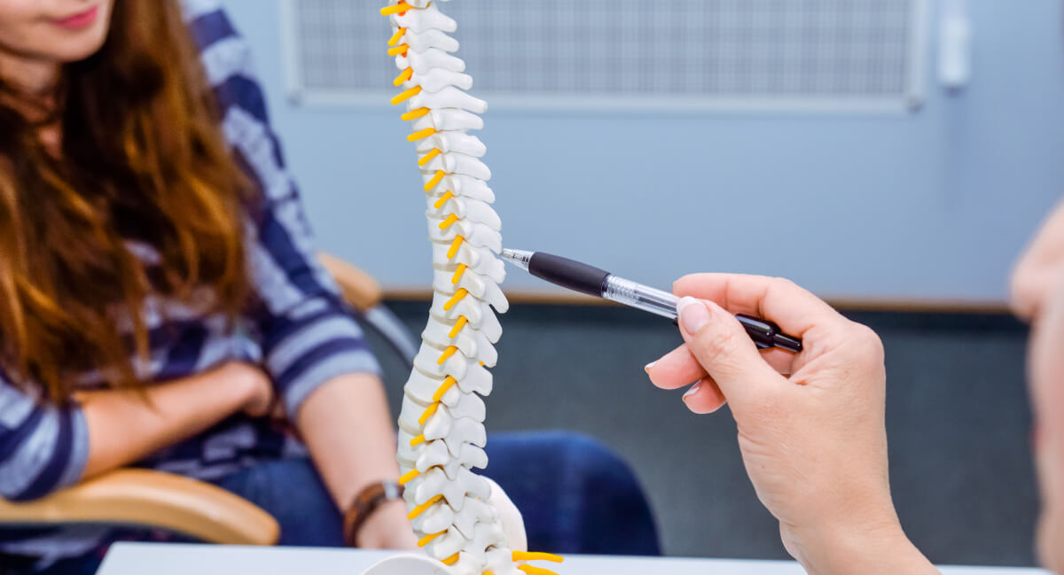 Chiropractor explaining results to patient using spine model