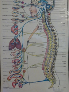 Containment of Chiro 2024-2