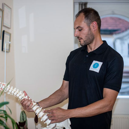 Chiropractor holding spine model