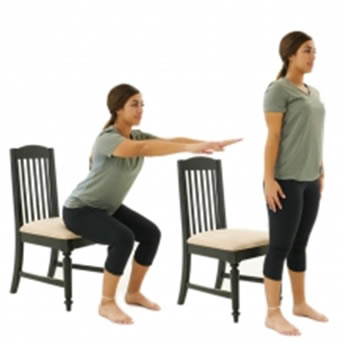 sit to stand exercise