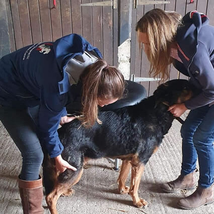 Giulia adjusting dog