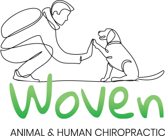 Woven Animal & Human Chiropractic logo - Home