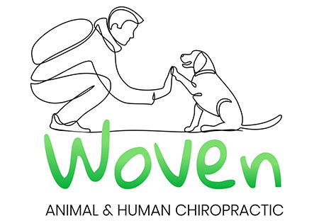 temp-logo