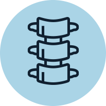Spine icon