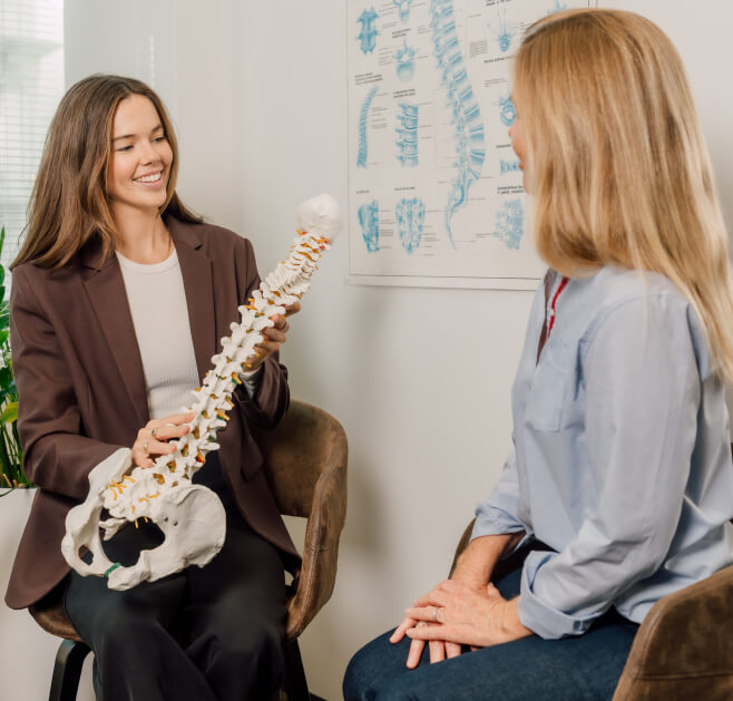 Chiropractor holding spine model