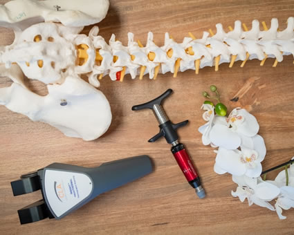 Spine model and adjusting tools