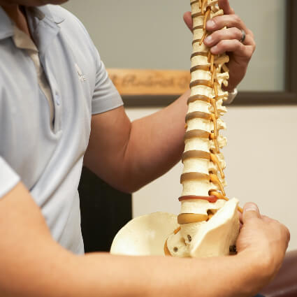 Dr. Roderick holding model of spine