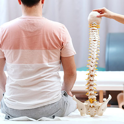 person sitting next to model of a spine