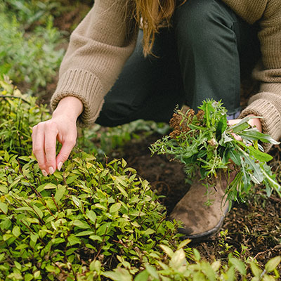 woman gardening outside