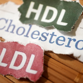 HDL LDL Cholesterol