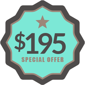 $195 special offer banner