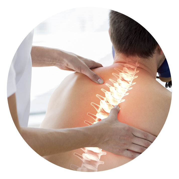 illustration of spine on man's back