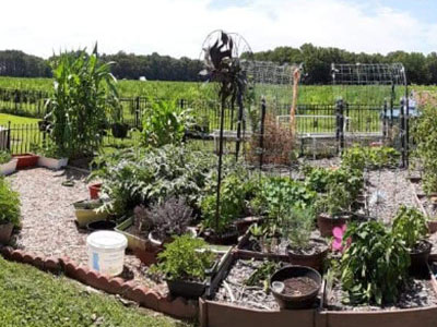 outdoor-garden