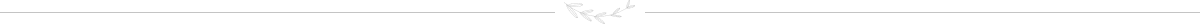 divider
