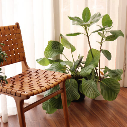 Chair in waiting room