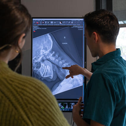 chiropractor looking at xrays