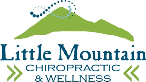 Little Mountain Chiropractic & Wellness logo - Home