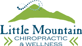 Little Mountain Chiropractic & Wellness logo - Home