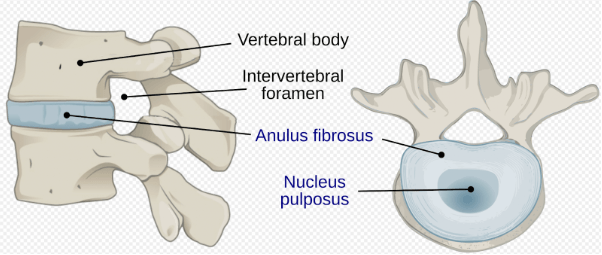 Screenshot 2026-03-25 111718