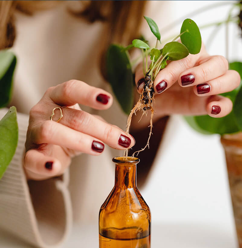 essential oil bottle