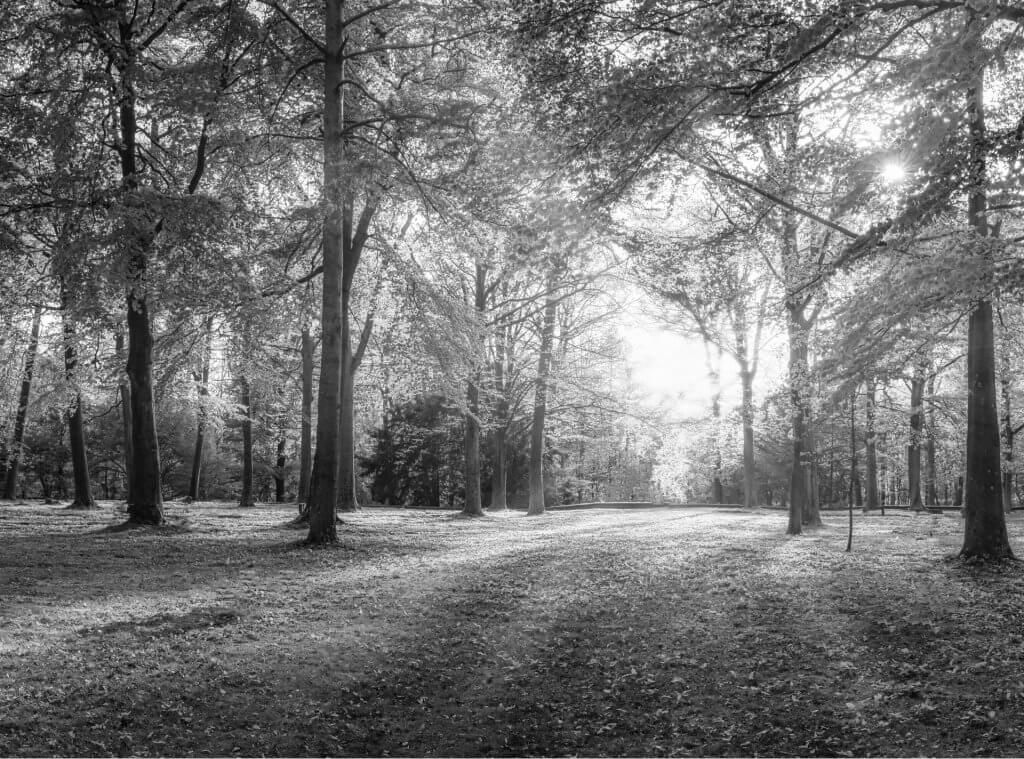 bg-top-rated-functional