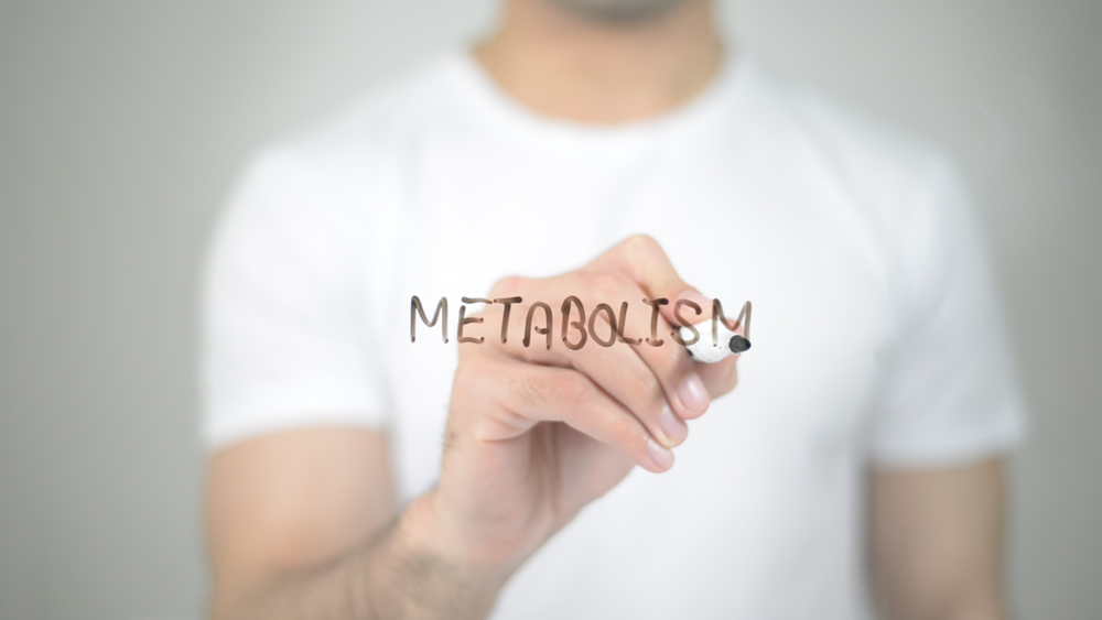 Man writing the word metabolism on a transparent screen