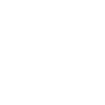 Motion Co. Muscle and Chiropractic logo - Home