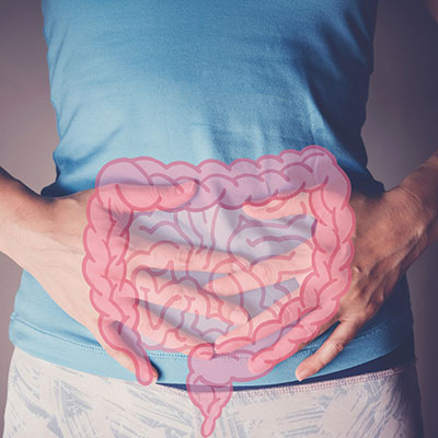 woman hands on her stomach with intestine, bowel inflammatory concept